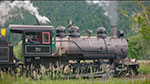 Train Story